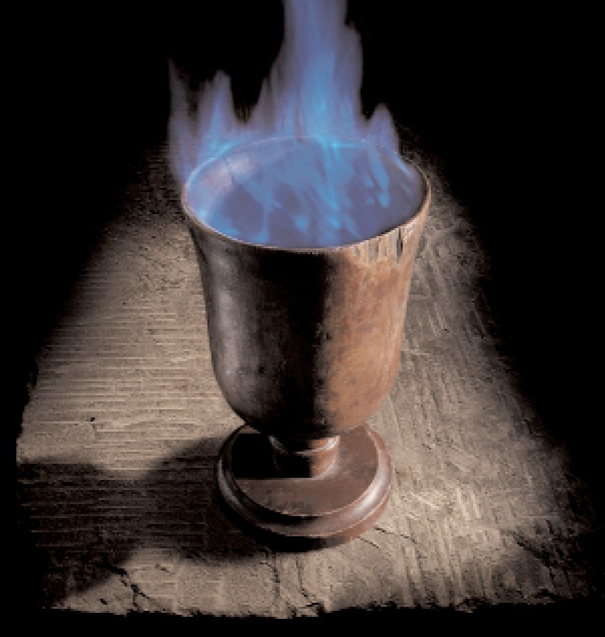 goblet of fire pdf